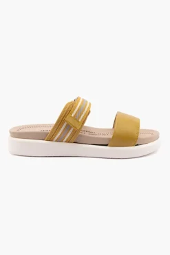 Albi 04