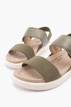 Albi 07