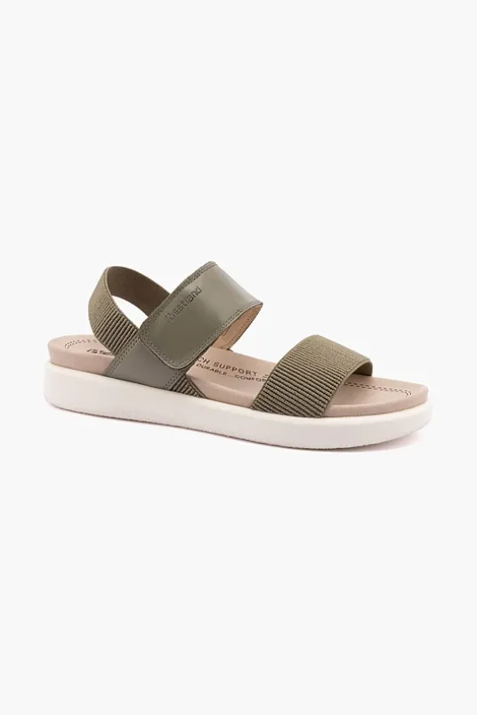 Albi 07