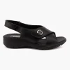 Charlotte 156860