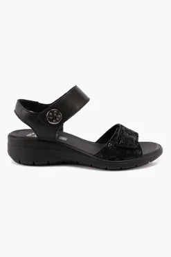 Charlotte 156900