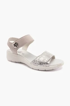 Charlotte 156900