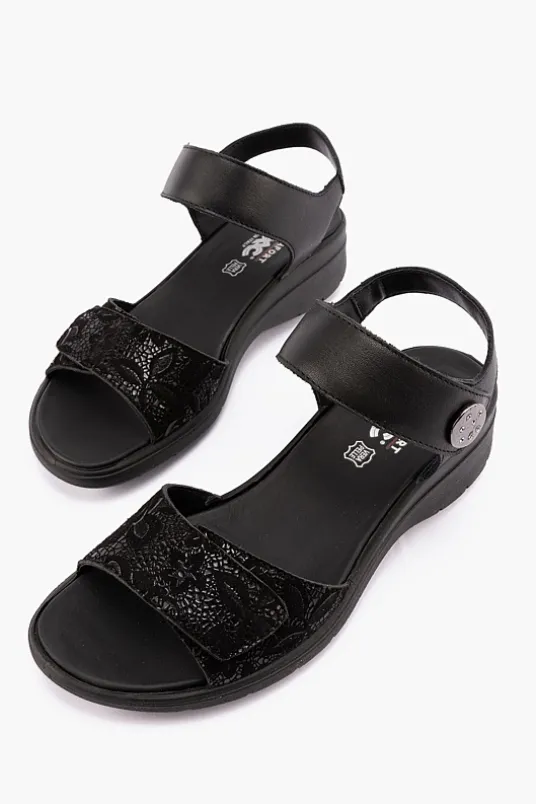 Charlotte 156900