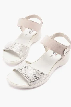 Charlotte 156900