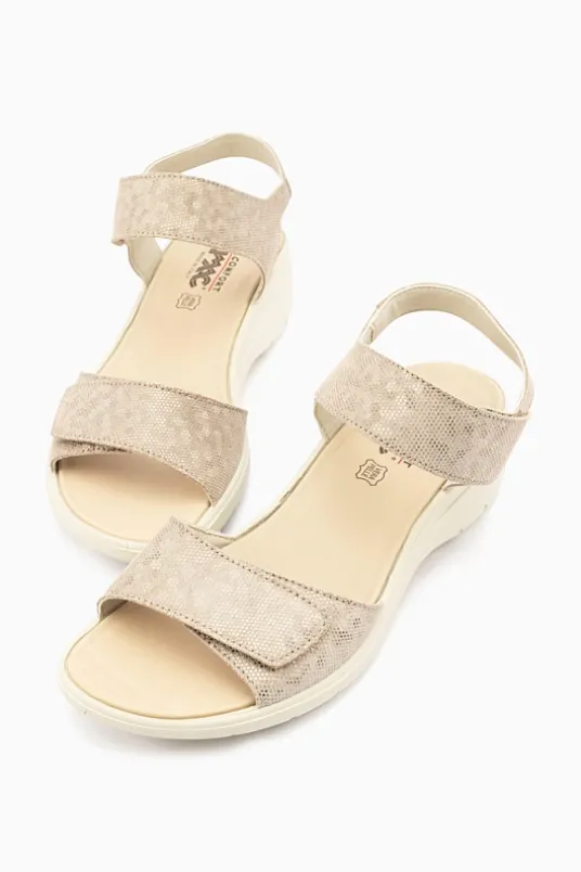 Charlotte 57130