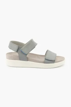 Daisy 558360