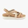 Daisy 558380