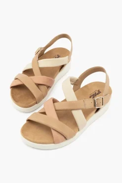 Daisy 558380