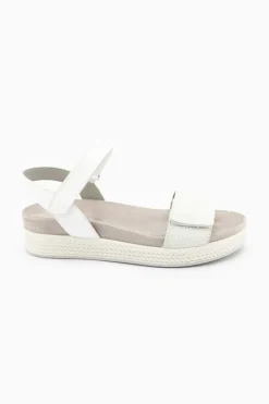 Delizia 57470