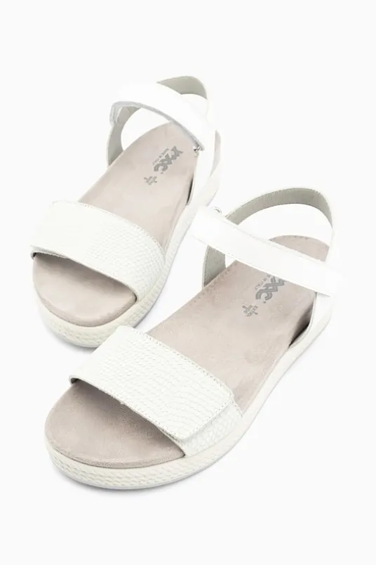 Delizia 57470