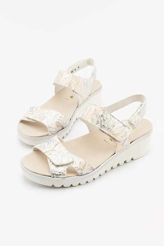 Emely 223002