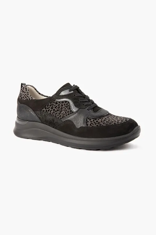 H Rosa 760002