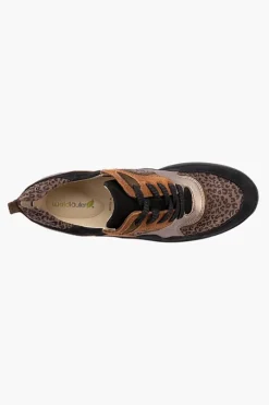 H Rosa 760002