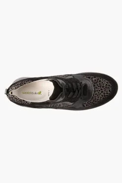 H Rosa 760002