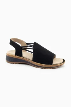 Hawaii 29005