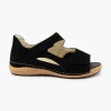 Heliett 681K80