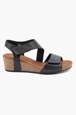 Kyra Plain