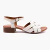 Lola HV221860