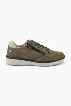 Majestro