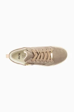 Rom Sport 24453