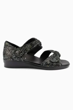 Tara