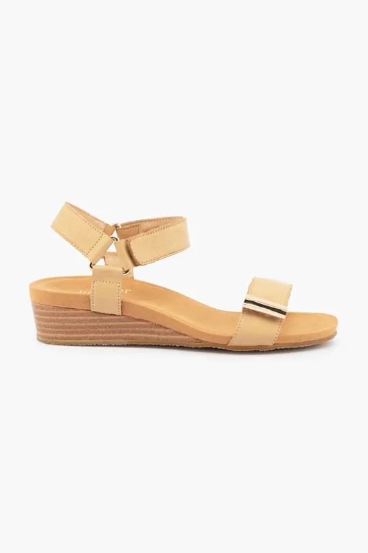 Utica Plain