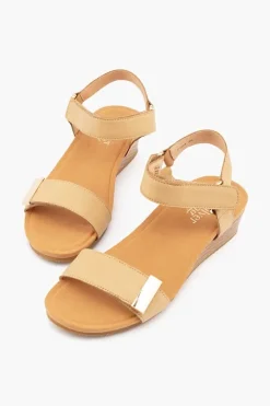 Utica Plain