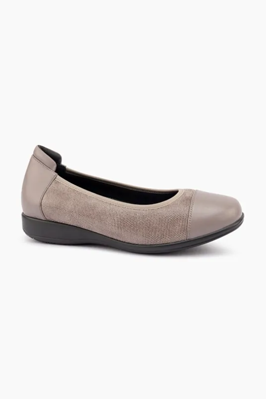 Walnut Stretch XW