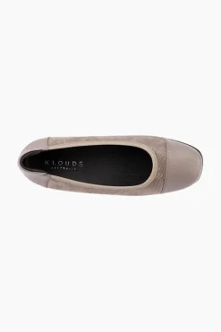 Walnut Stretch XW