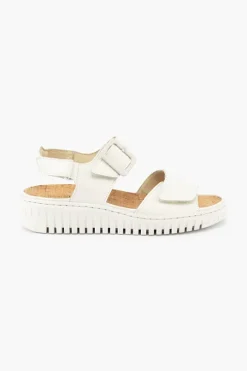 Willow 955004