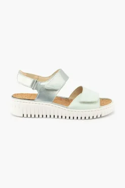 Willow 955001