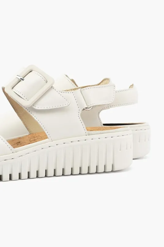 Willow 955004