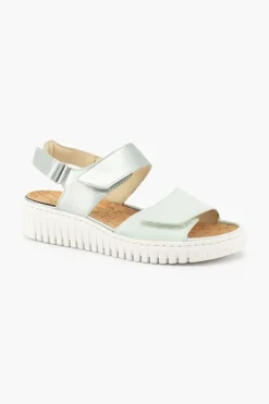 Willow 955001