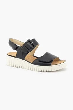 Willow 955004