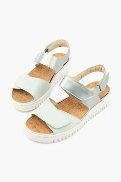 Willow 955001