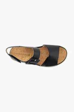 Willow 955004
