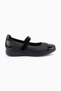 Wylie XW