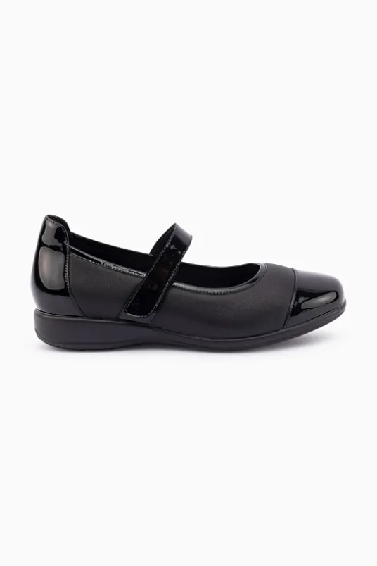 Wylie XW