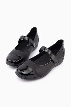 Wylie XW